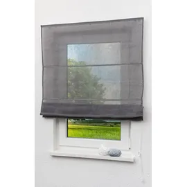 Lysel Outlet Raffrollo grau, transparent mit Schnurzug (B x H) 140cm * 170cm"