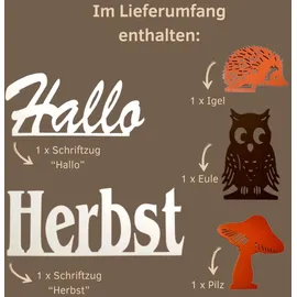 Weigla - Figurenset 5 TLG. original Erzgebirge I Motiv Herbst weiß/braun/orange I Figurenset für Dekosockel I detailreiche Holzkunst I Herbstdeko mit Schriftzug Hallo Herbst, Einer Eule, Igel & Pilz