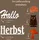 Weigla - Figurenset 5 TLG. original Erzgebirge I Motiv Herbst weiß/braun/orange I Figurenset für Dekosockel I detailreiche Holzkunst I Herbstdeko mit Schriftzug Hallo Herbst, Einer Eule, Igel & Pilz