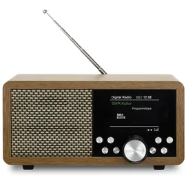 Dynavox DBT600 braun