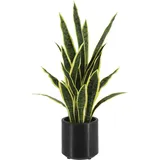 Künstlicher Bogenhanf - Carlos | 75 cm