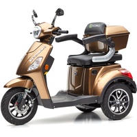 E-Trike J1000 25 km/h braun