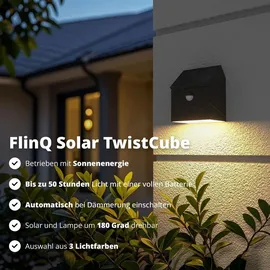 FlinQ Außenleuchte Kunststoff 2er-Pack Solar mit Bewegungsmelder schwarz
