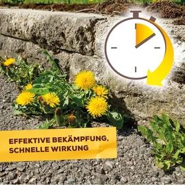 Solabiol Solabiol® Grundstoff Acetum Spray 1 Liter