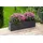 Westmann Talus Pflanzkasten 100 x 25 x 27 cm Anthrazit