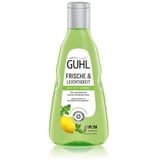 GUHL Frische & Leichtigkeit Anti-Fett Shampoo 1000 ml