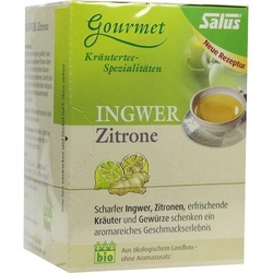 Ingwer Zitrone Tee Salus Filterbeutel