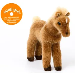 Kösen - Haflinger Fohlen