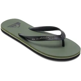 QUIKSILVER Molokai Core Grün 39