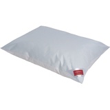 Hefel Cool Kissen, 80 x 80 cm