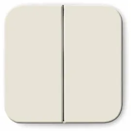 Busch-Jaeger Wippe ws Serie 2505-212