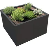 Palatino Pflanzgefäß Clara 80 x 80 x 50 cm Metall anthrazit