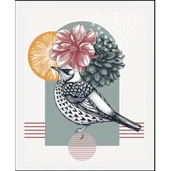 Bild QUEENCE "Birdy", rosa (farbe rahmen: schwarz, farbe bild(er): rosa), B:50cm H:70cm, Acrylglas, Papier, Holz, Bilder, gerahmt