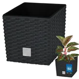 KOTARBAU® Blumentöpfe 6,8 L Höhe: 20 cm Anthrazit Pflanzentopf aus Kunststoff Übertopf mit Innentopf Blumentopf Set wie Rattan Pflanzentopf Innen Außen