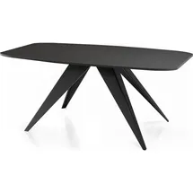 WFL GROUP Ausziehtisch 80 x 76 x 160 cm schwarz