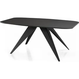WFL GROUP Ausziehtisch 80 x 76 x 160 cm schwarz