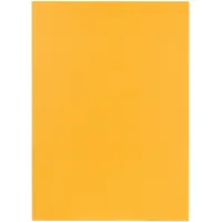 Falken Sammelmappe A4 Gelb 100 St.