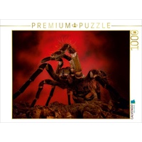 Calvendo Riesen Vogelspinne Puzzle