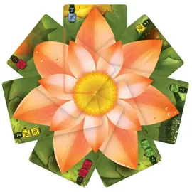 Renegade Game Studios Lotus Brettspiel