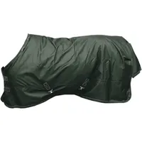 Kentucky Horsewear Outdoordecke 160g All Weather Waterproof Pro Dark Green 125