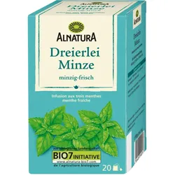 Alnatura Bio Dreierlei Minze Tee 20ST 30G