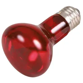 Trixie Infrarot Wärme-Spotlampe Infrarotlampe
