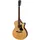 Eastman PCH2-GACE - Westerngitarre