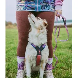 Non-Stop Dogwear Line Harness 5.0 Hundegeschirr purple/pink 5