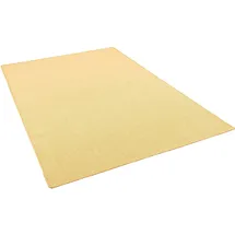 Snapstyle Snapstyle, Sisal Natur Teppich, Klassisch Honig 100x200 cm)