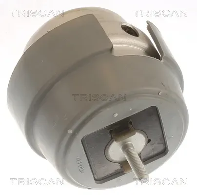 TRISCAN Lagerung, Motor 850529169 für Audi SEAT