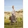 Heine Rollkragen-Shirt Beige 40