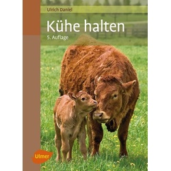 Kühe halten