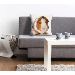 Dekokissen QUEENCE "Malte", braun (braun, bedruckt), B:40cm L:40cm, Polyester, Dekokissen_Sitzkissen_Kissenhüllen, Kissenhülle,Meerschweinchen,Tiermotiv,Niedlich,Haustier,Verspielt