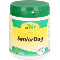Senior Dog