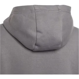 adidas Entrada 22 Hoodie Grau 164