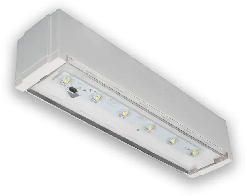 RP-Technik Sicherheitsleuchte PXDL039ML