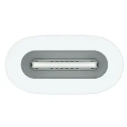 APPLE Apple USB-C auf Apple Pencil Adapter MWML3ZM/A/385481