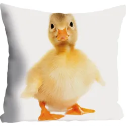 Dekokissen QUEENCE "Manuel", gelb (gelb, bedruckt), B:40cm L:40cm, Polyester, Dekokissen_Sitzkissen_Kissenhüllen, Kissenhülle,Ente,Tiermotiv,Niedlich,Haustier,Verspielt,Zart