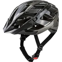 Alpina Panoma 3.0 Schwarz Modell 2025