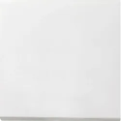 Gira Wippe Schalter reinweiß glänzend Fläche 0296112