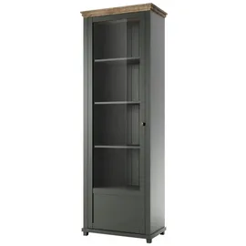 Lomadox Vitrine Epsom-83 71 x 42 x 200 cm Grün