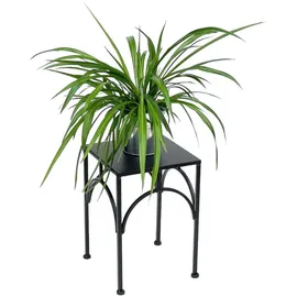 DanDiBo Ambiente Blumenhocker 33 x 28 cm Schwarz