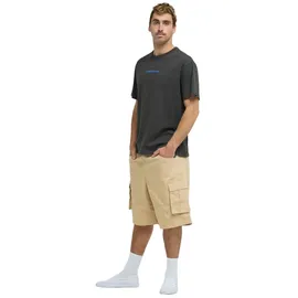 QUIKSILVER Cargoshorts Freefall Cargo Beige. Herren,
