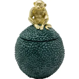 Kare Deko Dose Jackfruit Monkey 30 x 20 x 20 cm 1-tlg. Grün
