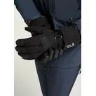 Skihandschuhe JACK WOLFSKIN "INS SKI GLOVE", Damen, Gr. XL, schwarz, Materialmix, Handschuhe
