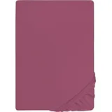Castell Spannbettlaken Jersey 140 x 200 - 160 x 200 cm brombeer