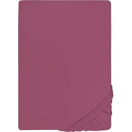 Castell Spannbettlaken Jersey 140 x 200 - 160 x 200 cm brombeer