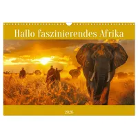 Calvendo Hallo faszinierendes Afrika (Wandkalender 2026 DIN A3 quer),