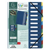 Exacompta Ordnungsmappe Harmonika 55122E DIN A4 blau