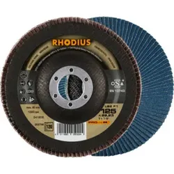 RHODIUS PROline LSZ F1 Fächerschleifscheibe 125 x 22,23 mm K120